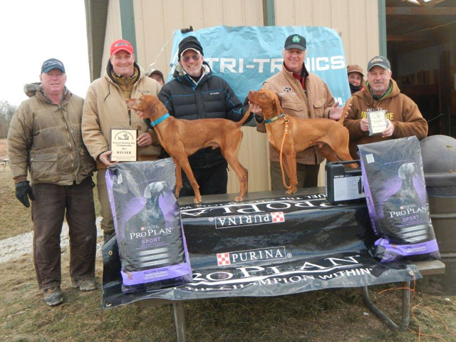 Shooting Dog Winner: Tommy By Tommy (Tommy), Owner: Nancy Colwell, Handler: Brian Gingrich Runner up: Saginaw Redneck Cowboy (Tex), Owner and handler: Mark Johnson