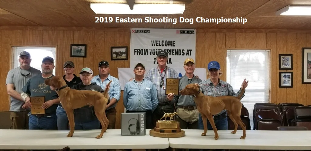 vizsla nationals 2019
