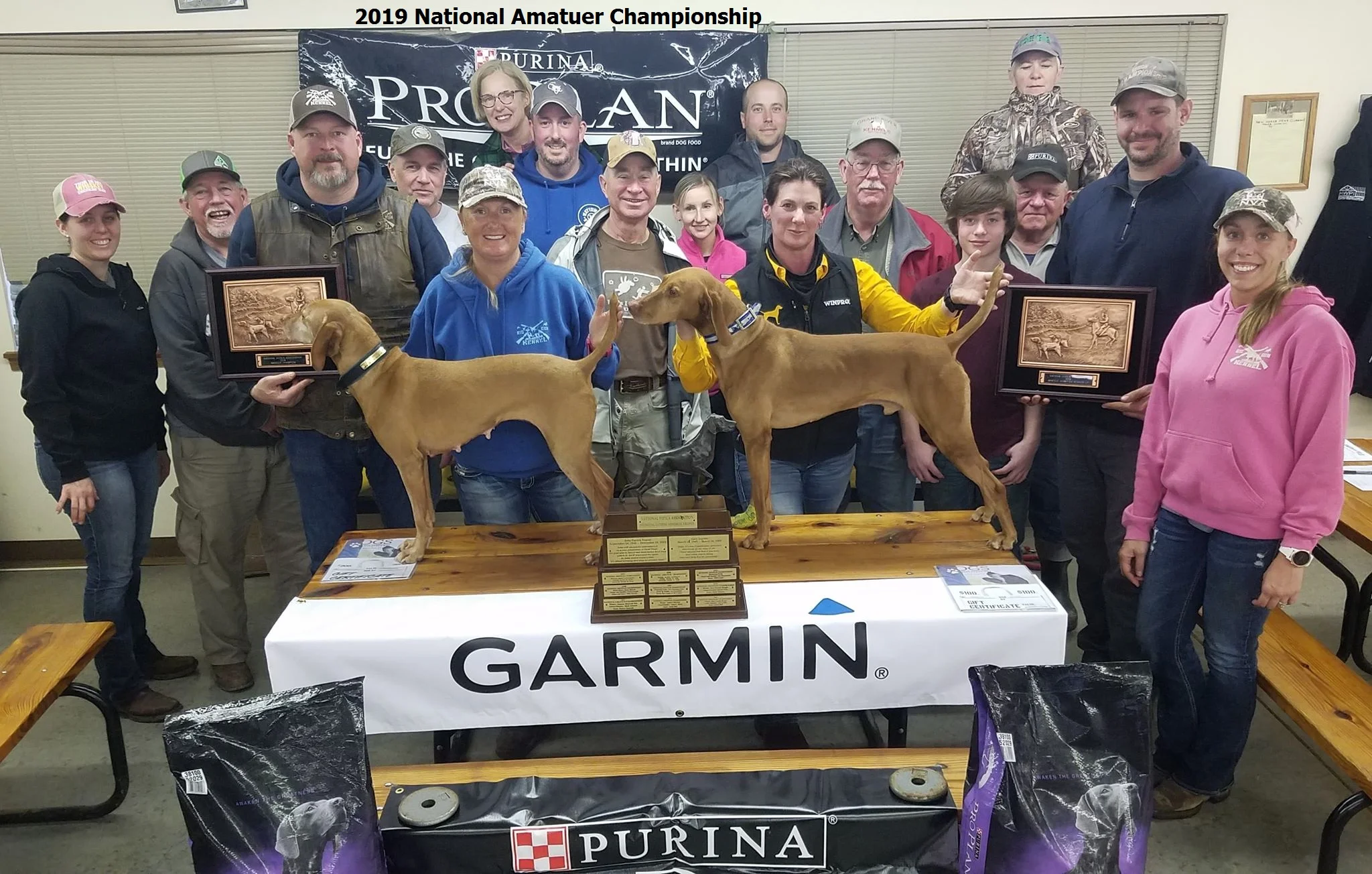 vizsla nationals 2019