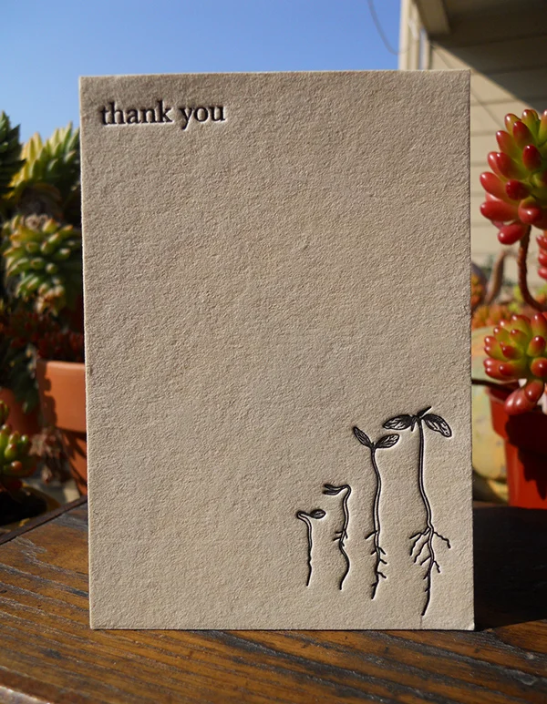 megan_stephan_thanks.jpg
