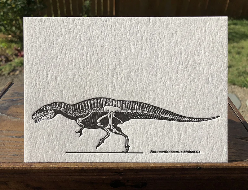 Dino_card.jpg
