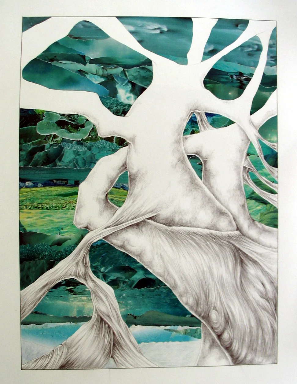 Anatomical Landscape.JPG