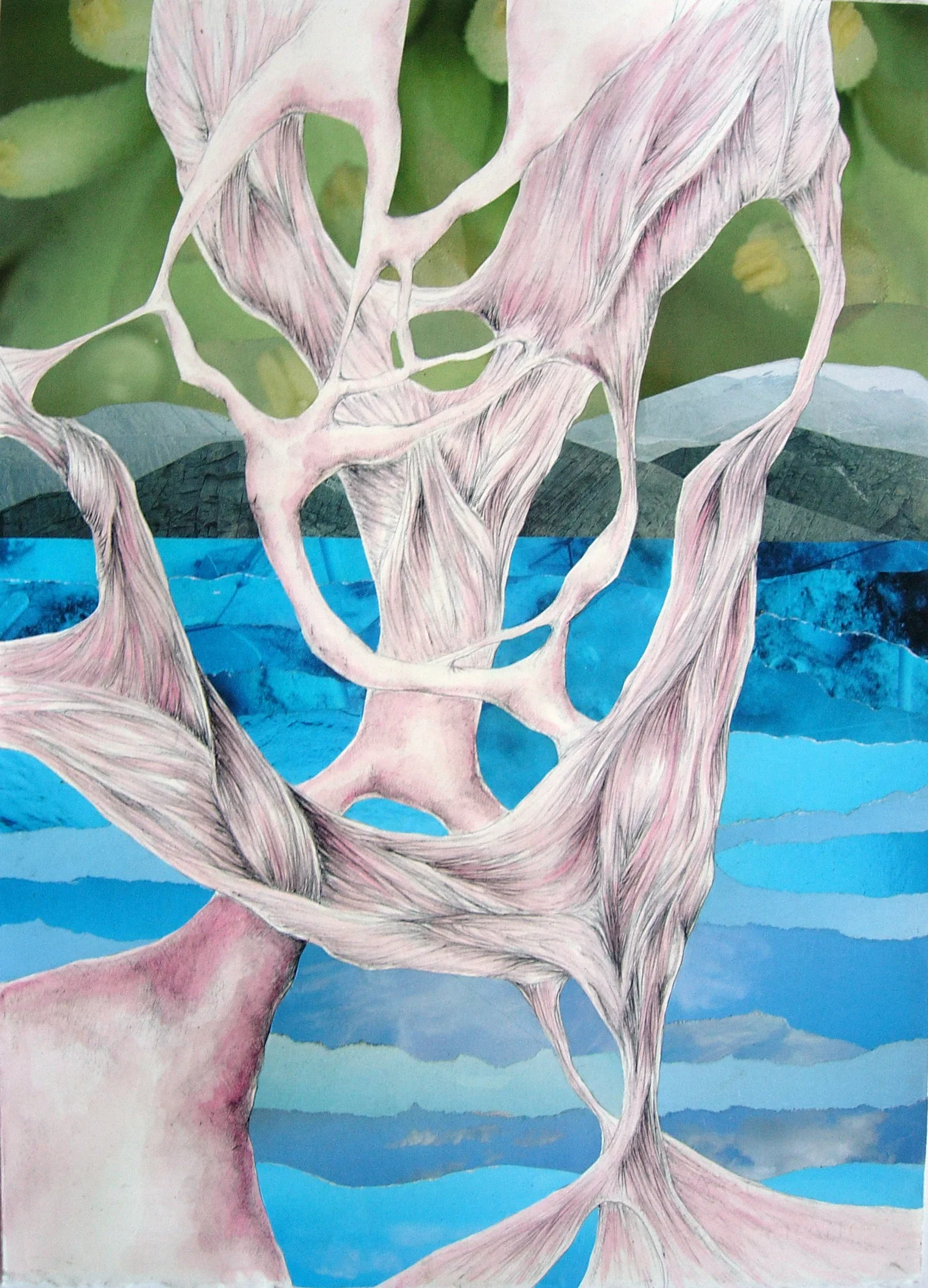 Anatomical_Landscape3.jpg