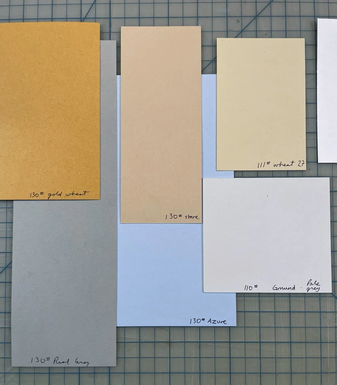 IMG_4702 Large copy.jpg