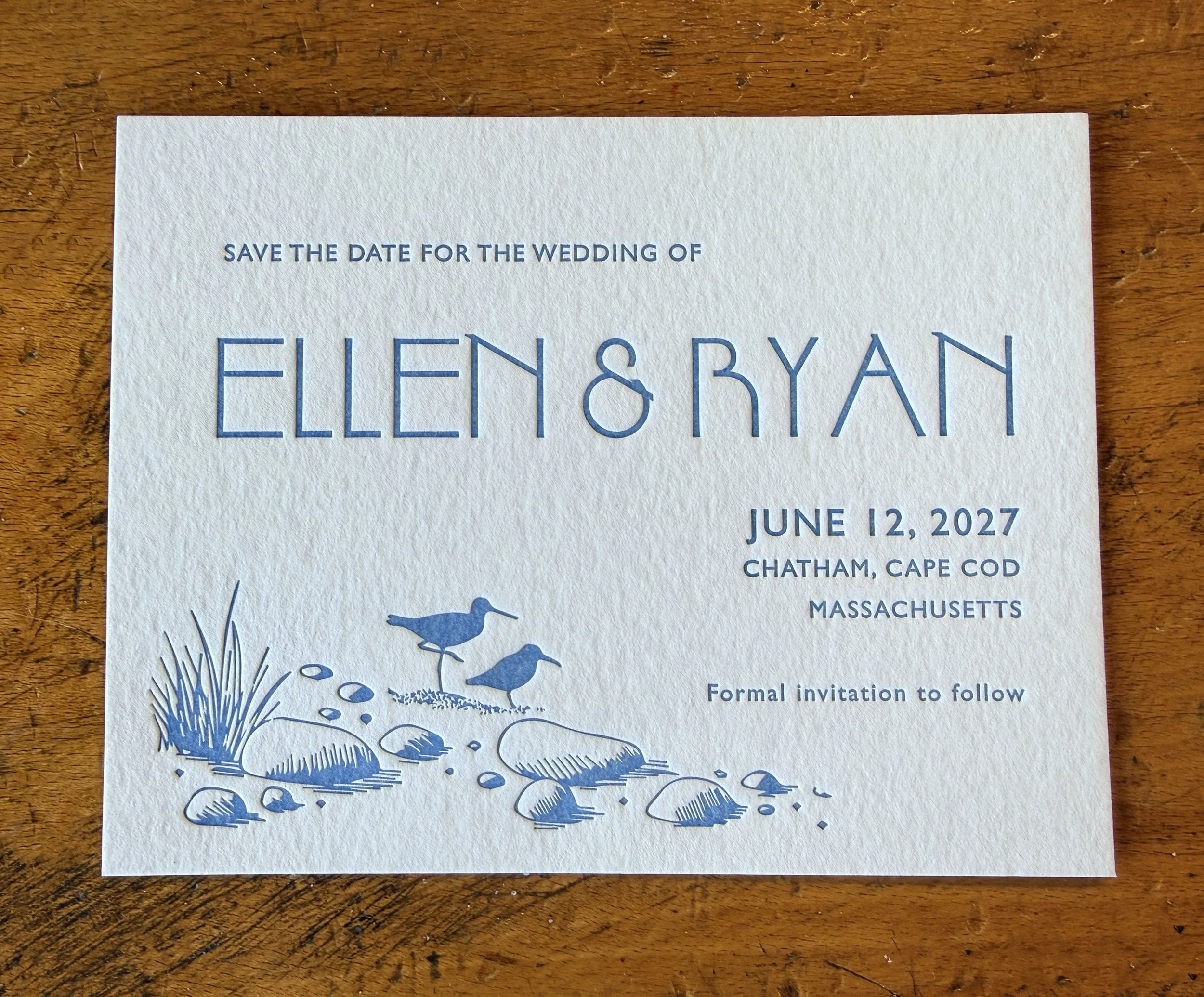 Ellen_Ryan_SAVE_sandpipers.jpg
