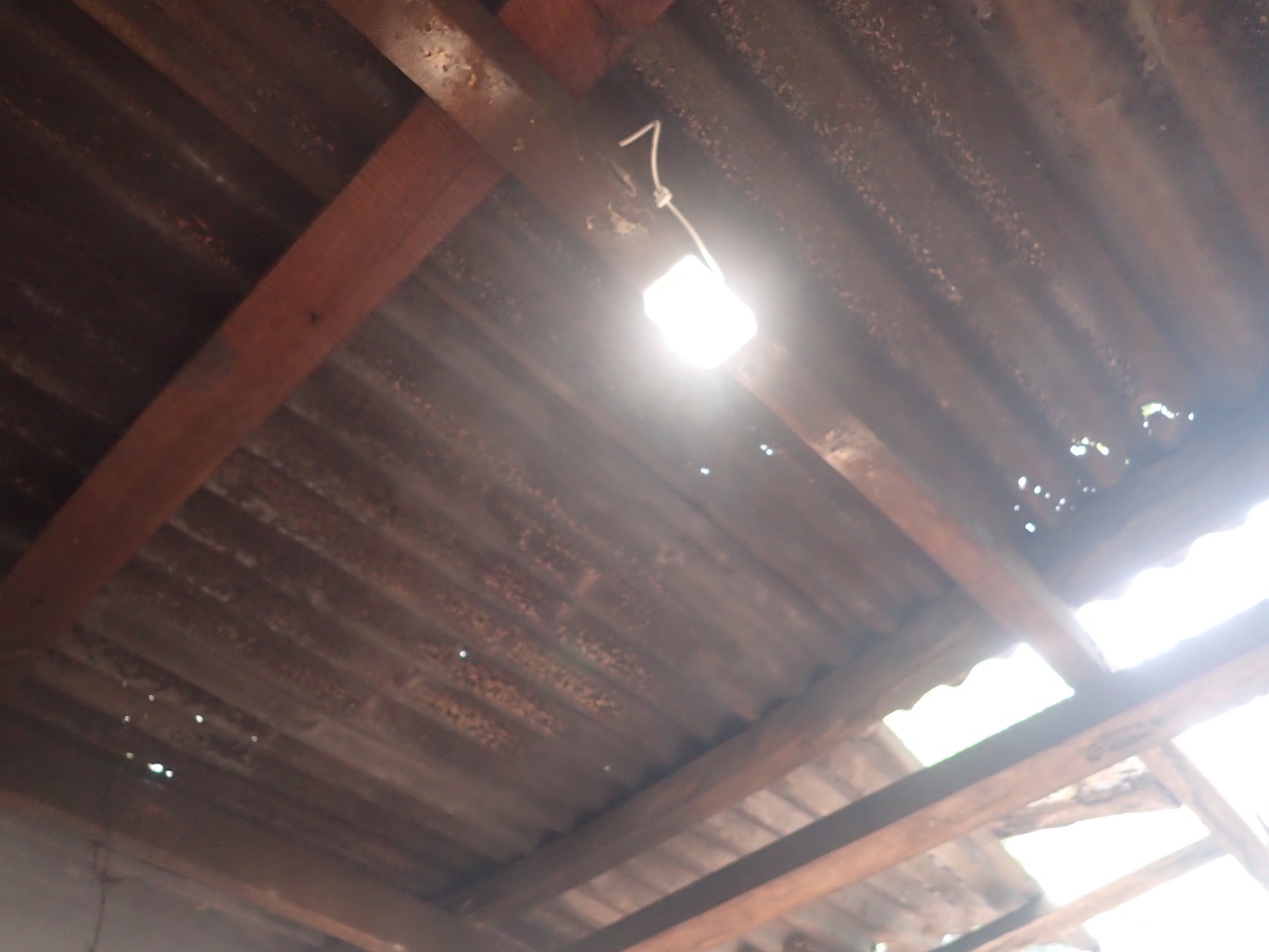 P3160127.jpeg
