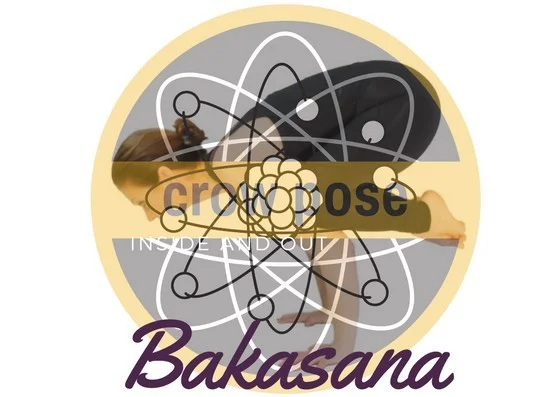 TONIGHT is the the NIGHT for CROW Pose.  Join us at 6 pm FUNDAMENTALS CLASS for the Ins and outs of getting off our feet. #bakasana #yogaworkshop #crowpose #armbalances #essenciayoga