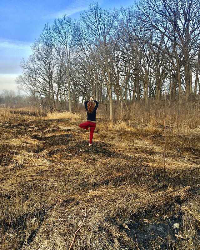 #fire #earth #wind #dupagecounty #trees #vrksasana #balance #spring #essenciayoga #yogaeverywhere #yogaeveryday