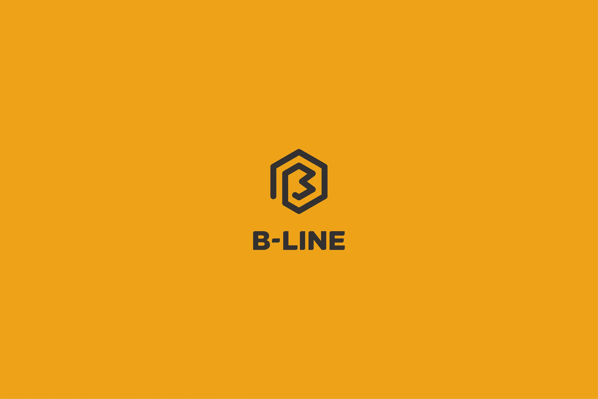 B-Line-01.jpg