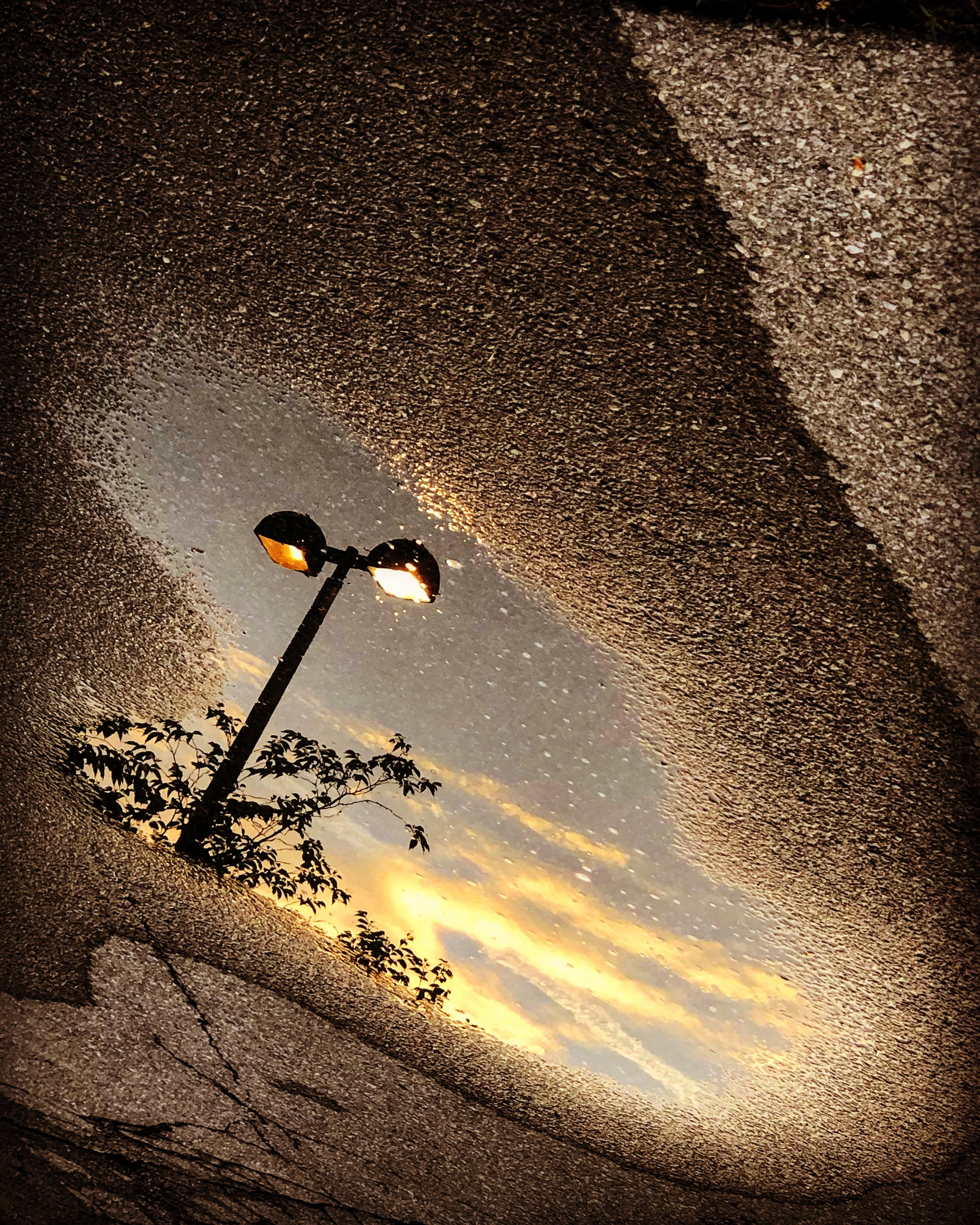Puddle_6039.jpg