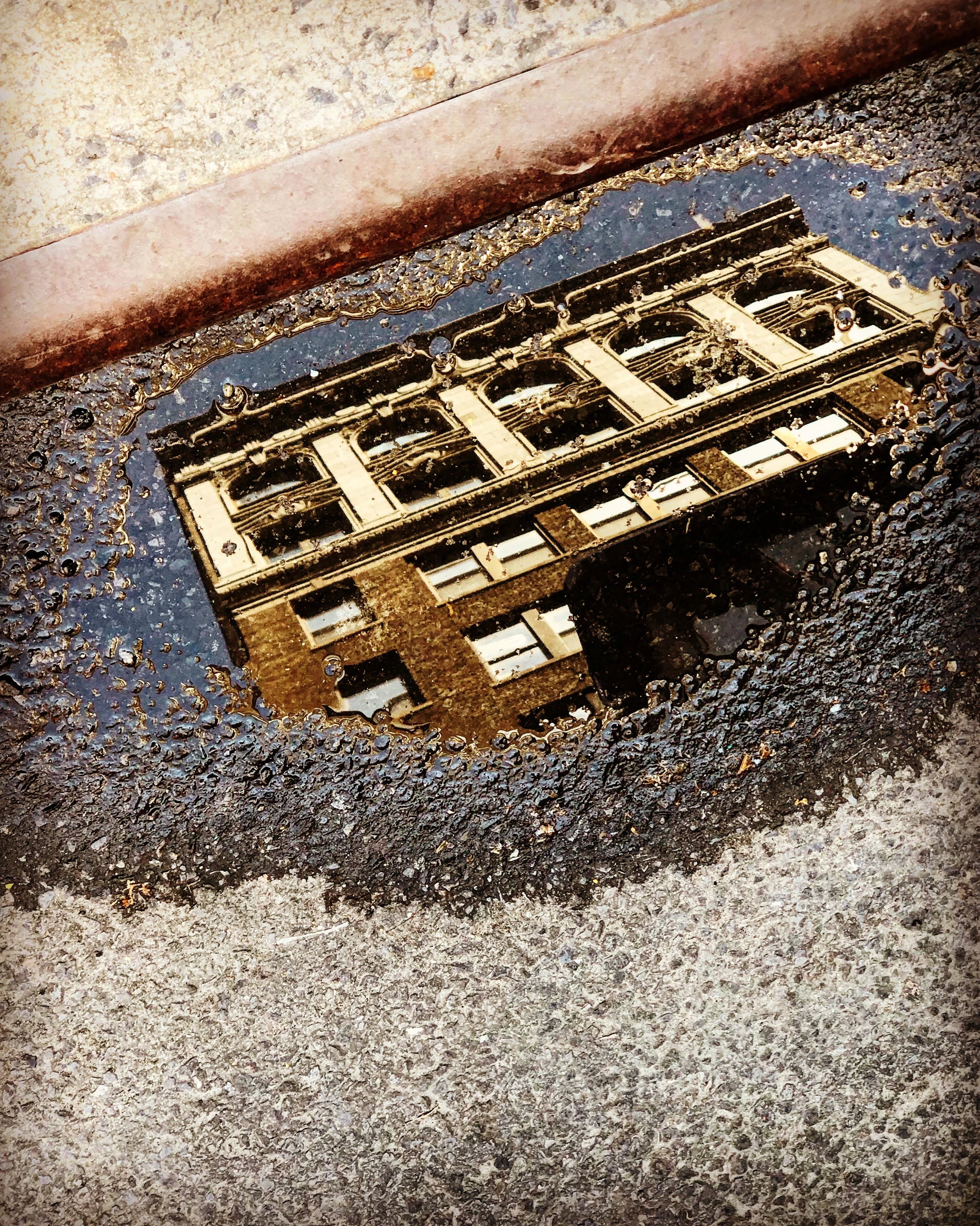 Puddle_5873.jpg