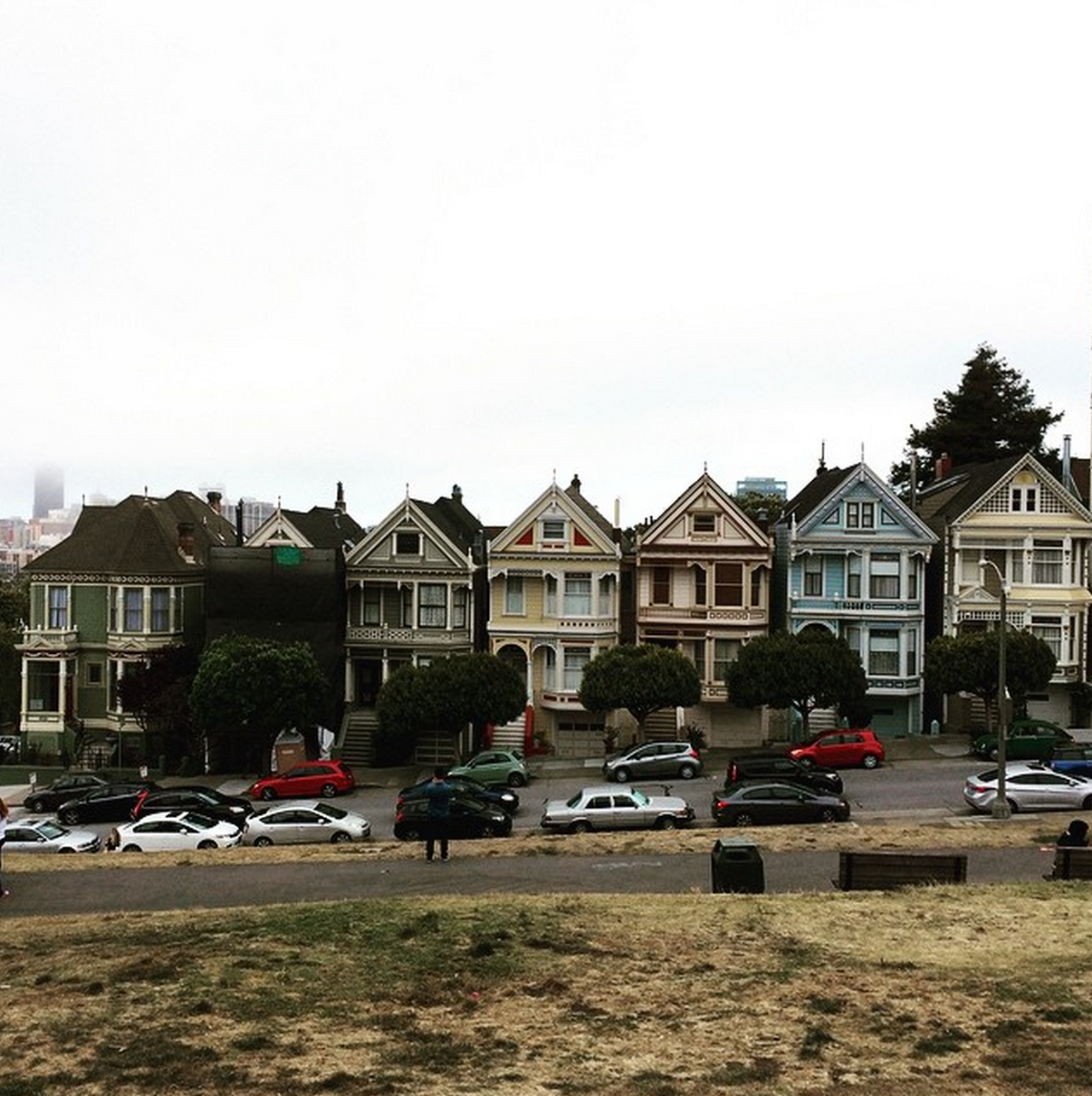 Painted Ladies