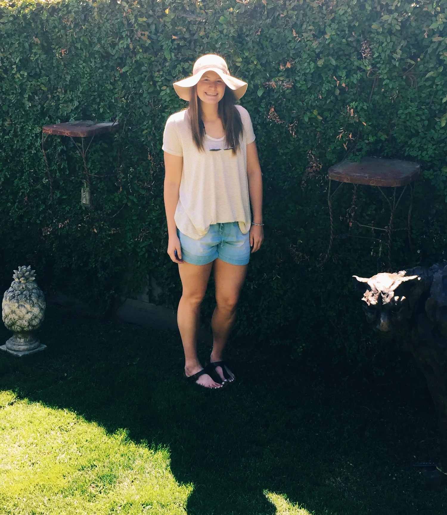 Day One in Napa
