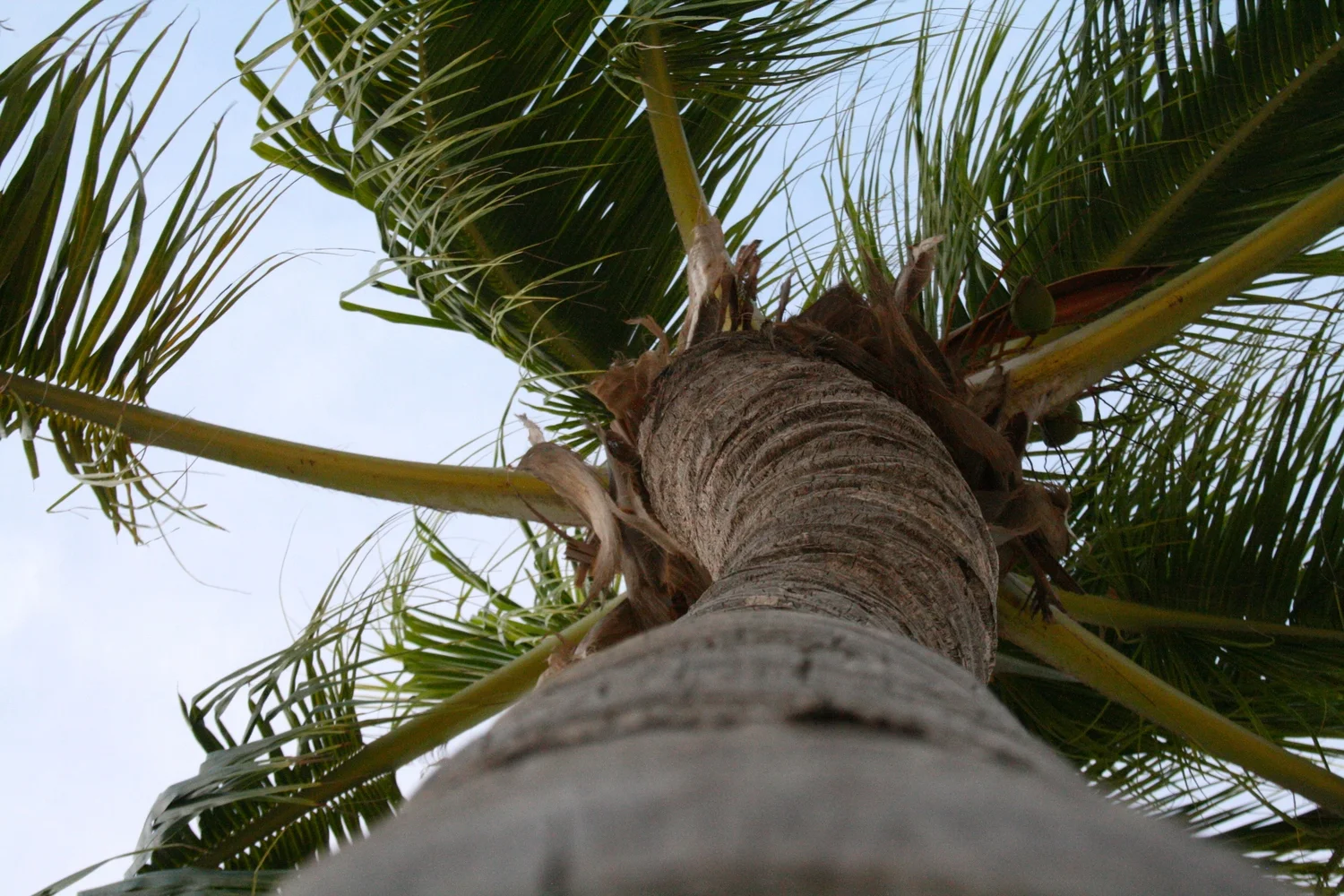 Key West Travel Guide