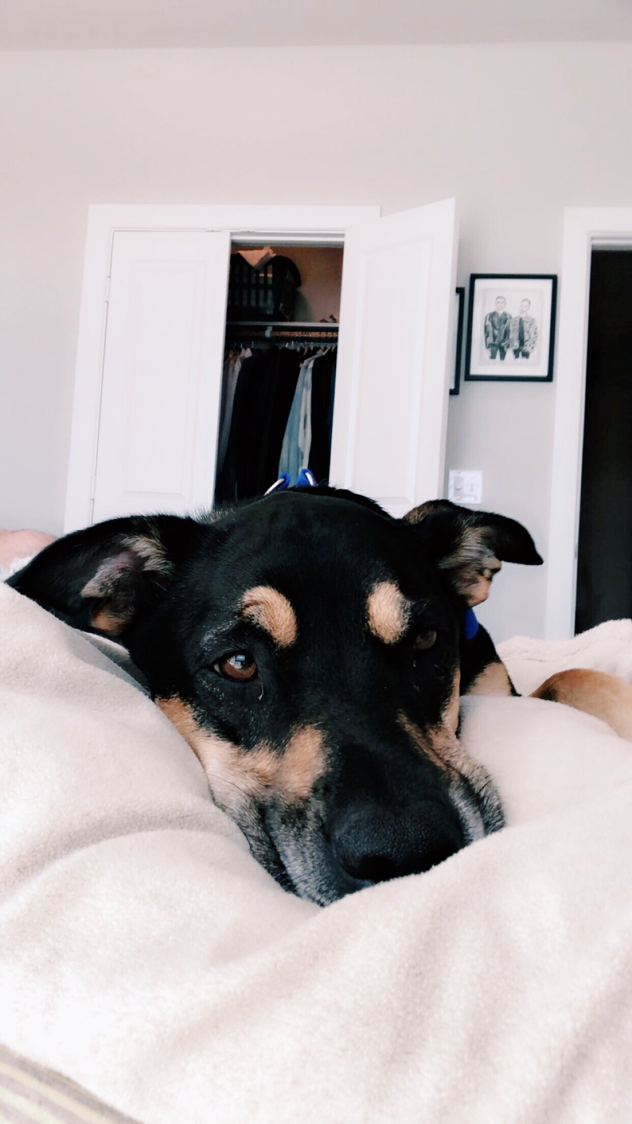 On Gratitude and What Matters to Me