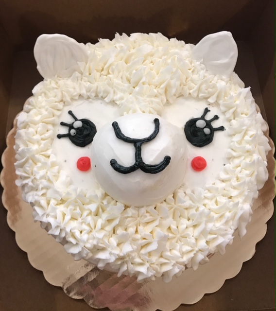 sheep.jpeg