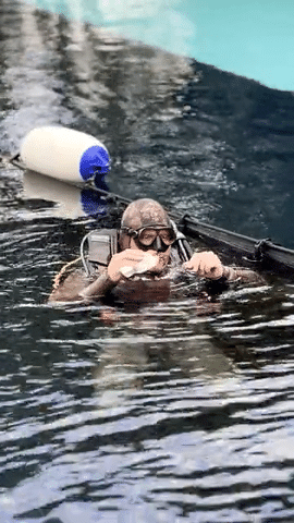 Mario Stipinovich -  BTS REV-low.gif