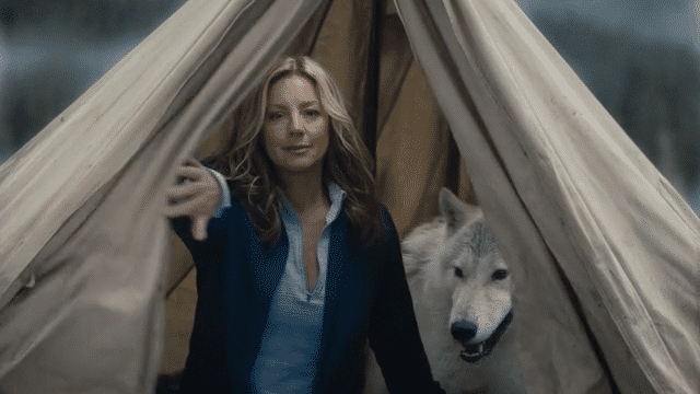 BUSCH LIGHT %22SHELTER%22-low.gif