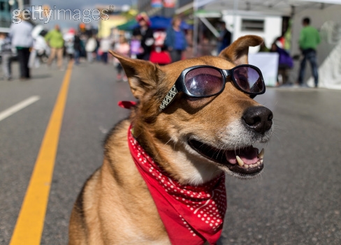 Photo by alamourus/iStock / Getty Images