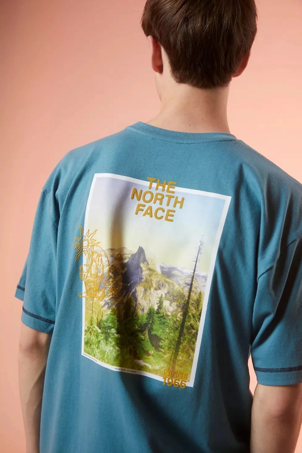 FACT ロンＴ THE NORTH FACE | FA21, SP22, FA22 — ALEX GELBER