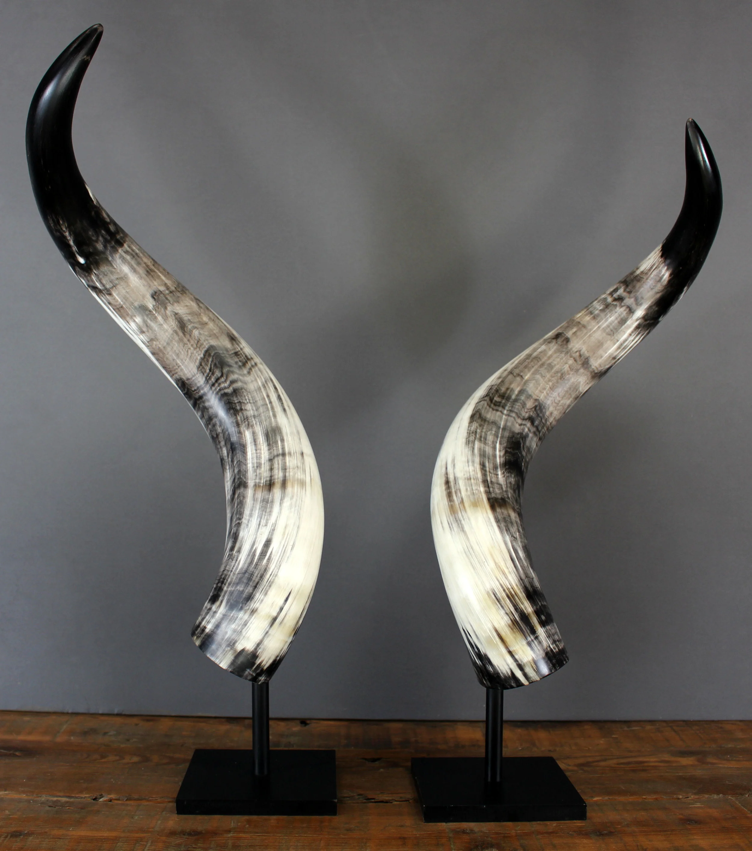 IronLonghorns4.jpg