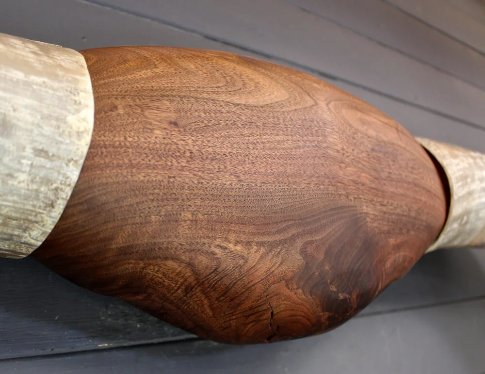 steer_horns_849-6.jpg