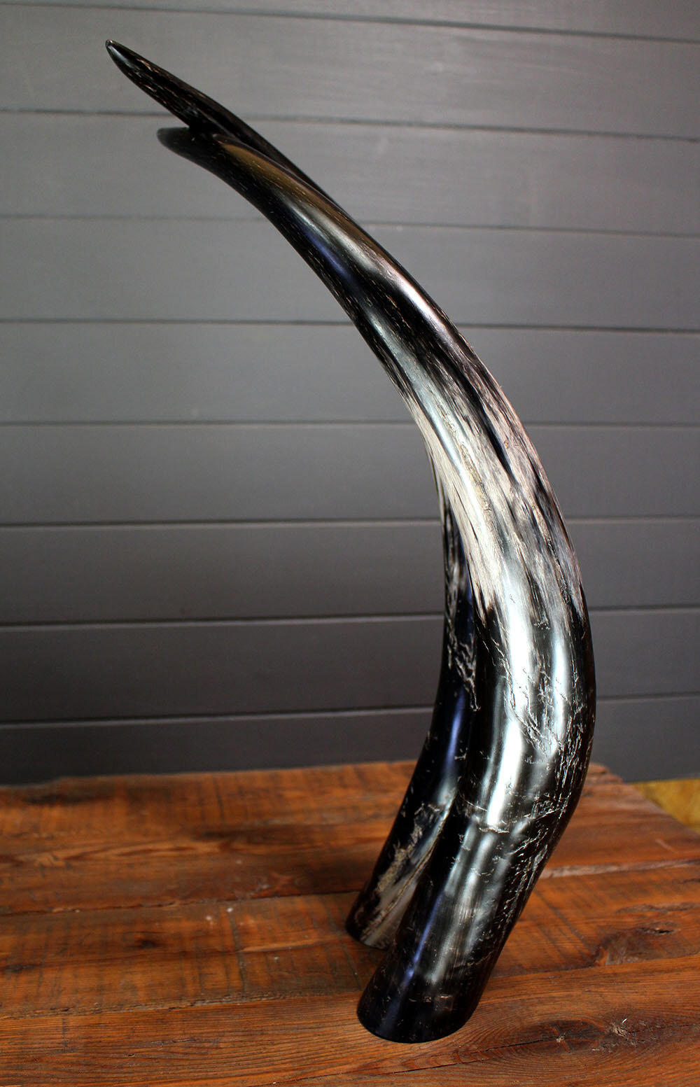 Longhorn_sculpture_ebony-2.jpg
