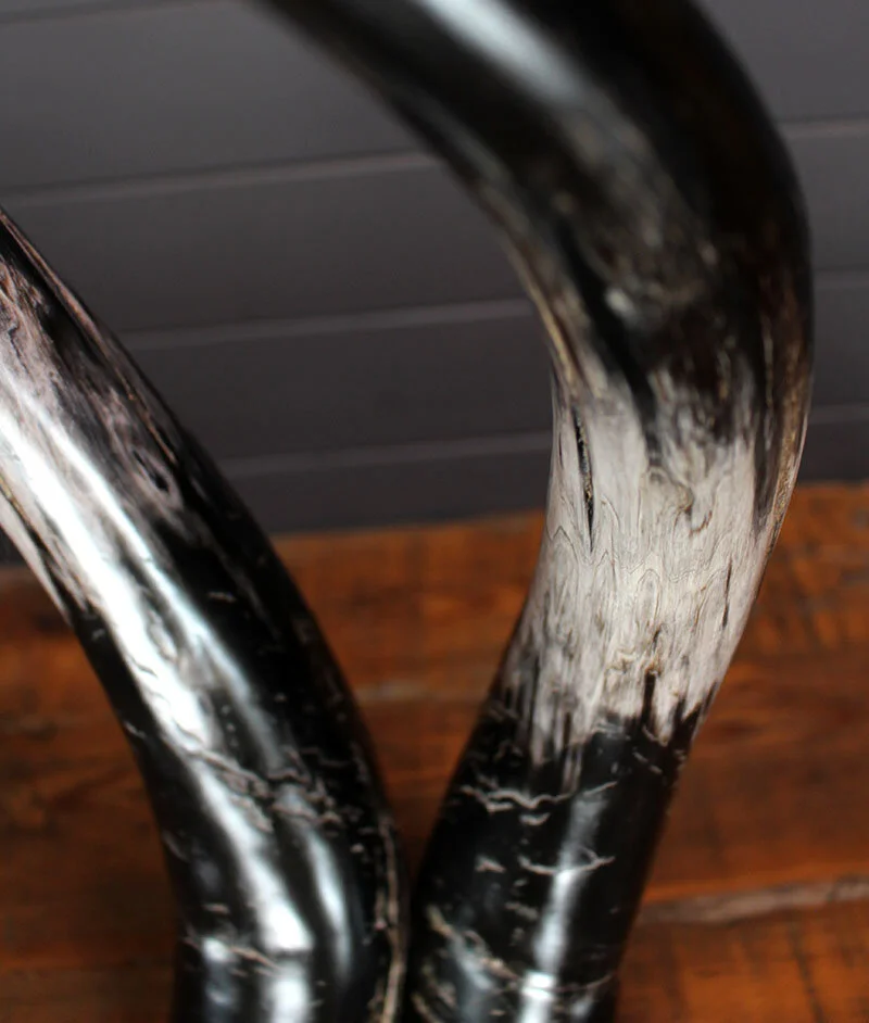 Longhorn_sculpture_ebony-6.jpg