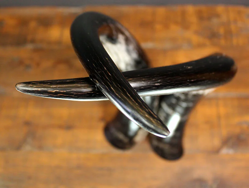 Longhorn_sculpture_ebony-7.jpg