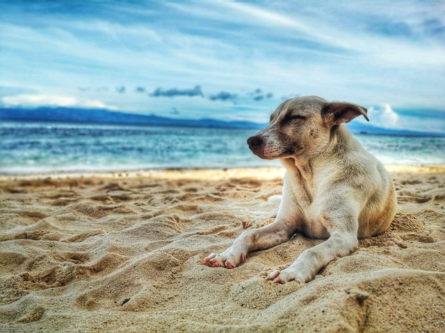 Photo by Ruel Madelo from Pexels