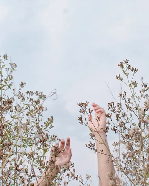 Photo by&nbsp;  Thiago Matos&nbsp;  from&nbsp;  Pexels