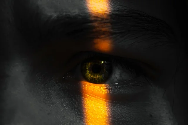 Photo by   Ruslan Alekso   from   Pexels