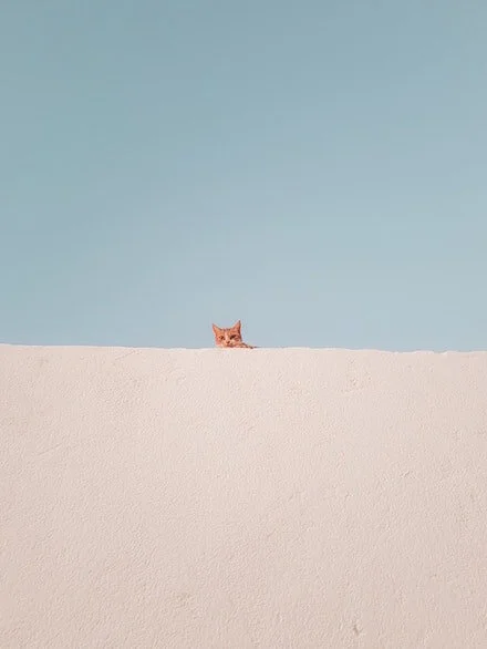 Photo by   Amine May   from   Pexels