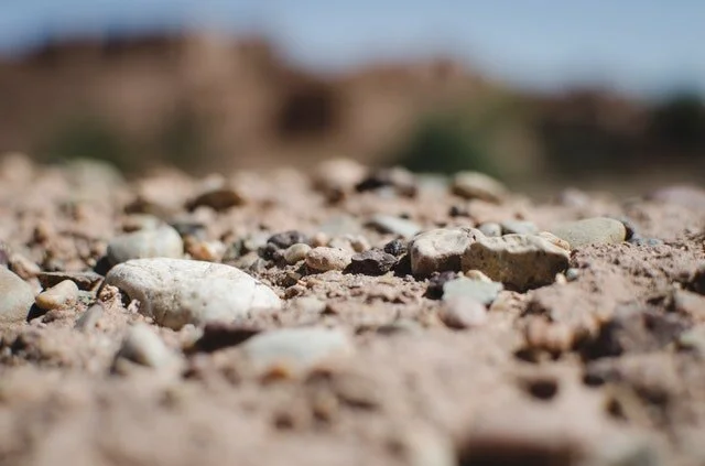 Photo by   Nicolas Postiglioni   from   Pexels