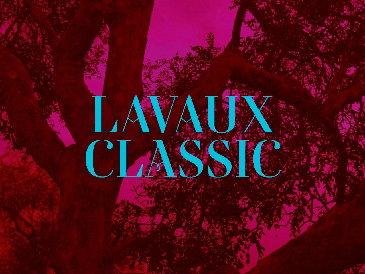 Lavaux Classic