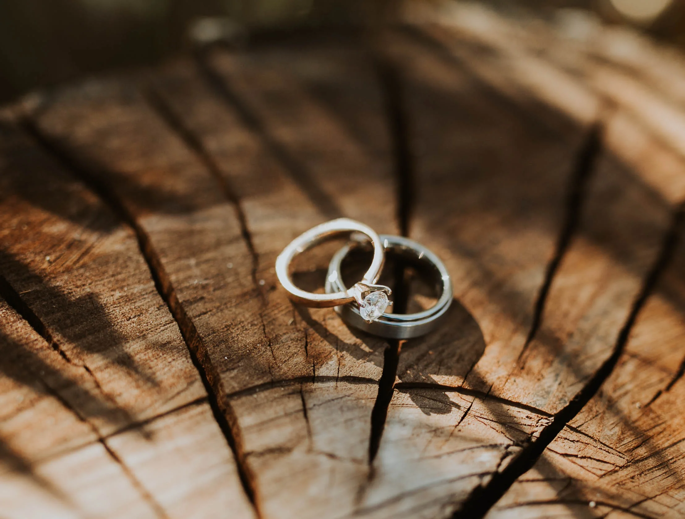 Gabbie+MyronWeddingFinal-55.jpg