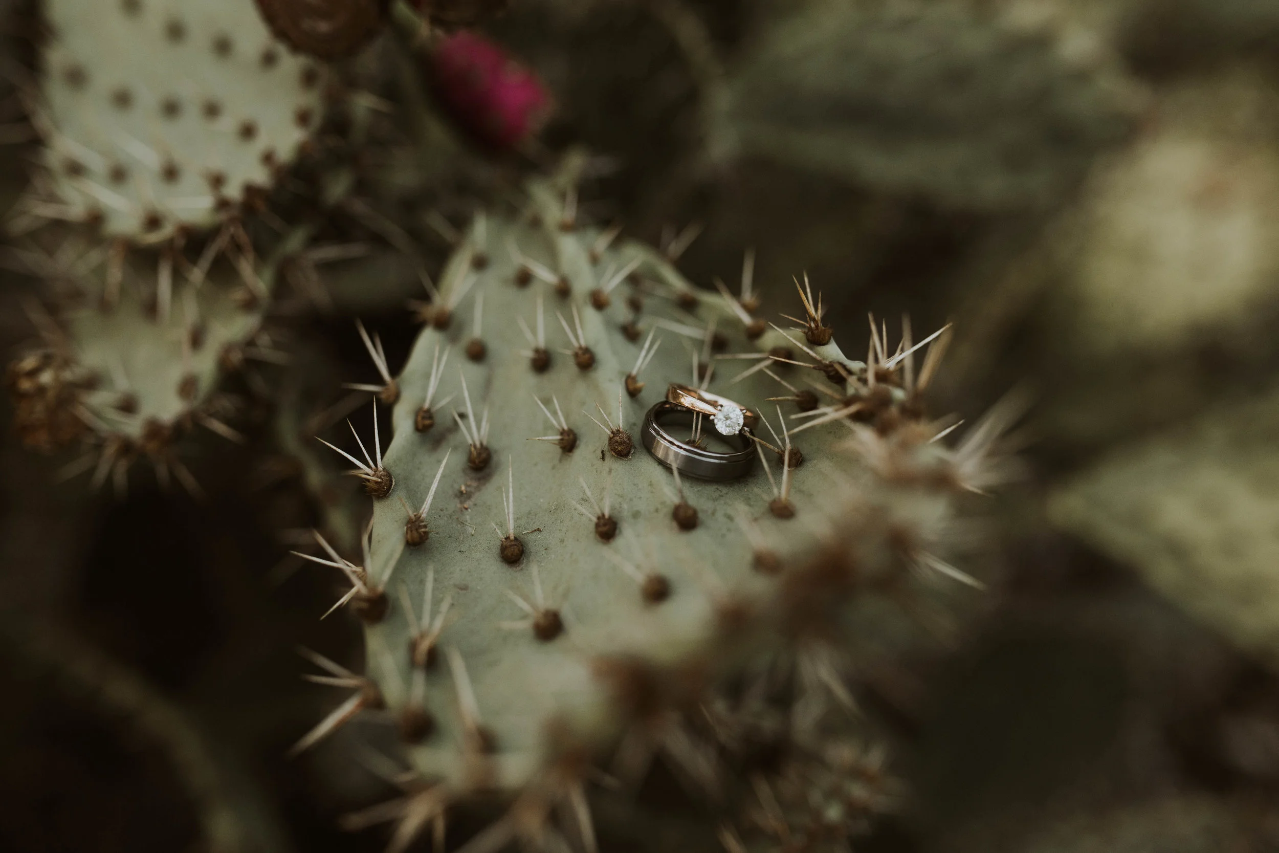 Gabbie+MyronWeddingFinal-772.jpg
