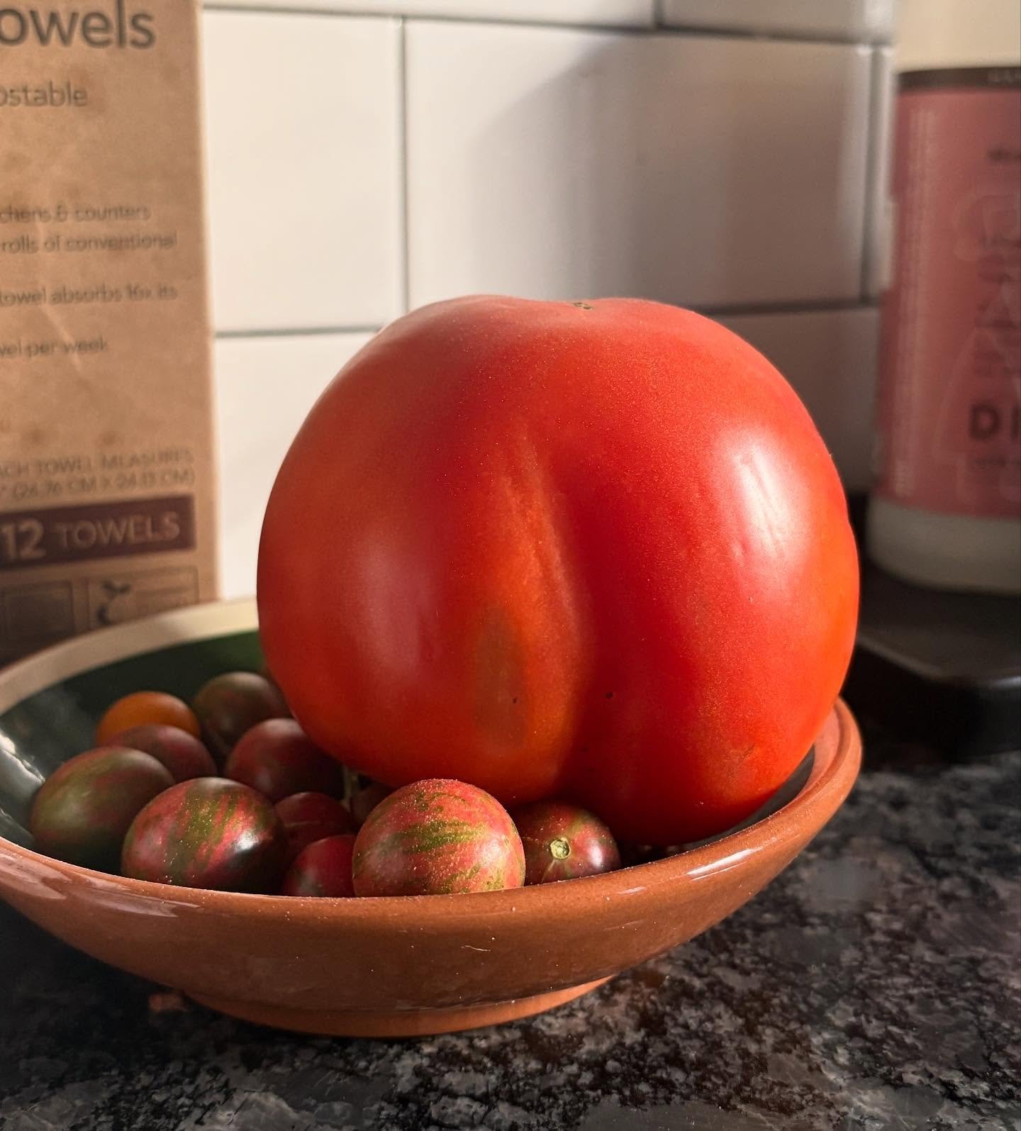 I picked a good tomato 😉🤌💋 #organic