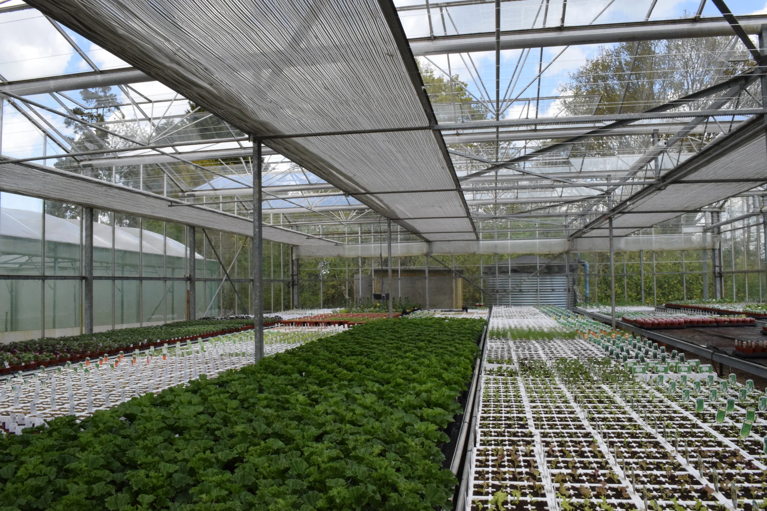 Home Staverton Nursery Ltd