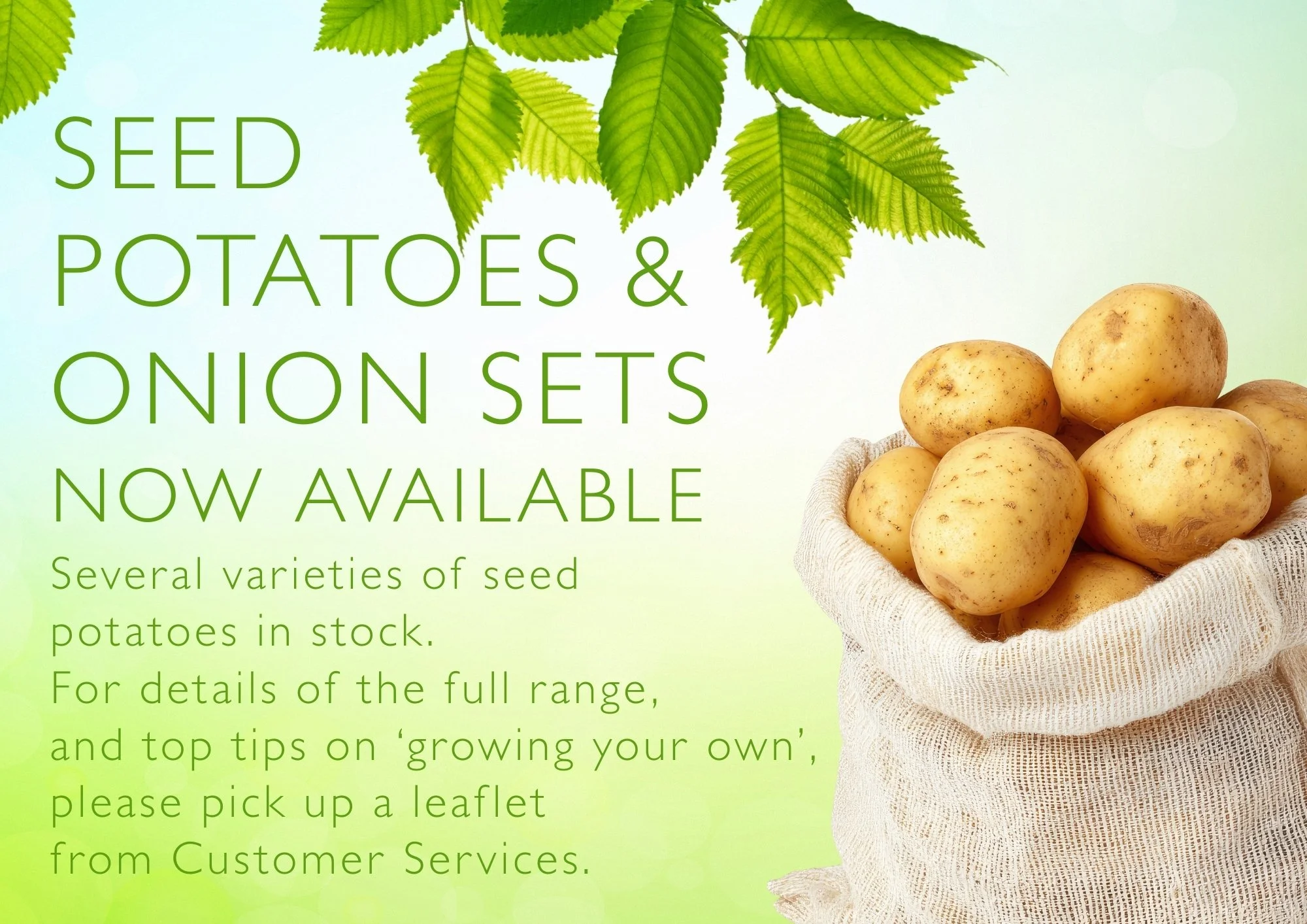 It&rsquo;s very much &lsquo;growing&rsquo; season too, with seed potatoes and onion sets all available now, as well as a huge range of vegetable and flower seeds.
 #crowbrough #heathfield #lewes #hailsham #brighton #uckfield #smallbusiness #staverton