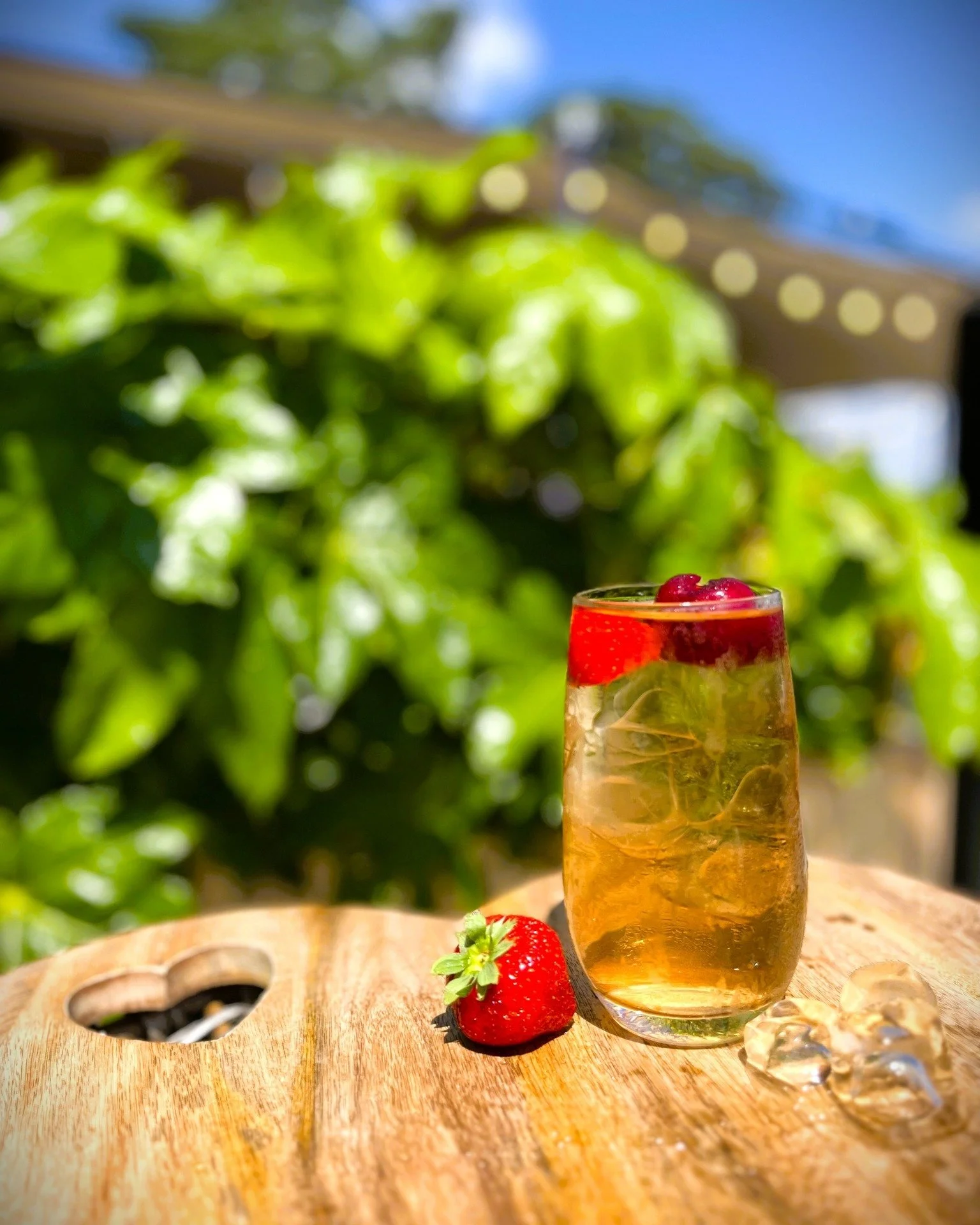 Come and enjoy a lovely selection of Iced Teas here Staverton Nursery 🌞😎😍
 #crowbrough #lewes #hailsham #brighton #uckfield #smallbusiness #stavertonnursery #halland #eastsussex #gardencentre