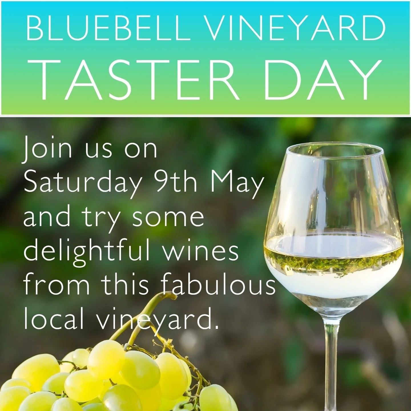 Bluebell vineyard Taster Day 
Pop in and say hello and sample some of their lovely wine