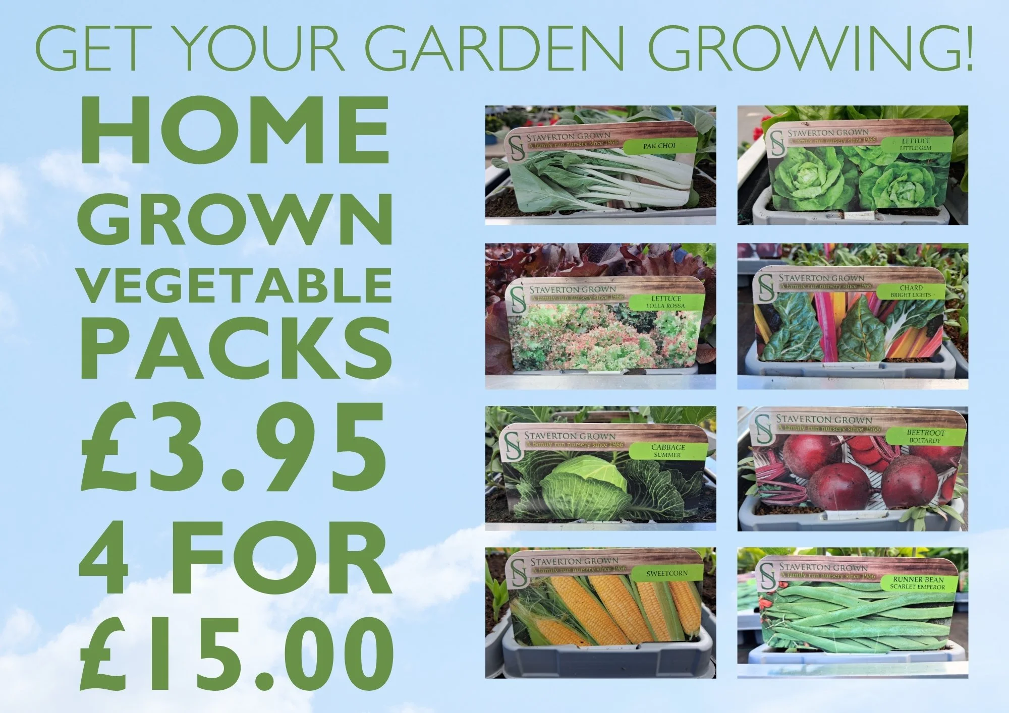 All of our gorgeous vegetable plants are out and waiting to be purchased. Grow your own loveliness 😍😁
 #crowbrough #lewes #hailsham #brighton #uckfield #smallbusiness #halland #gardening #eastsussex #gardencentre #veg #vegetables