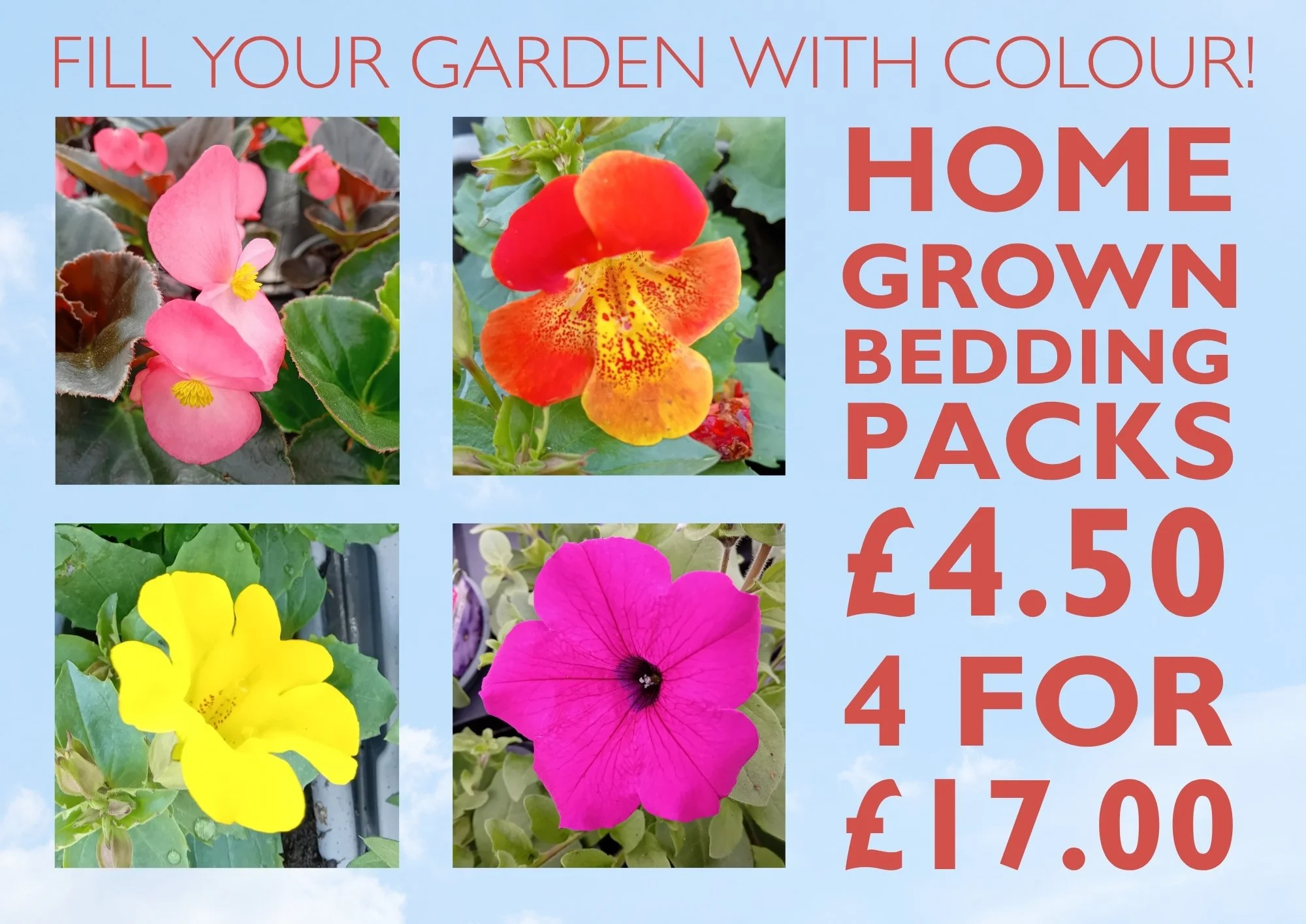 All of our gorgeous home grown summer bedding is now on display 😍🌼🌸
 #haywardsheath #tunbridgewells #crowbrough #heathfield #lewes #hailsham #brighton #uckfield #smallbusiness #plants #stavertonnursery #halland #gardening #gardencentre #eastsussex