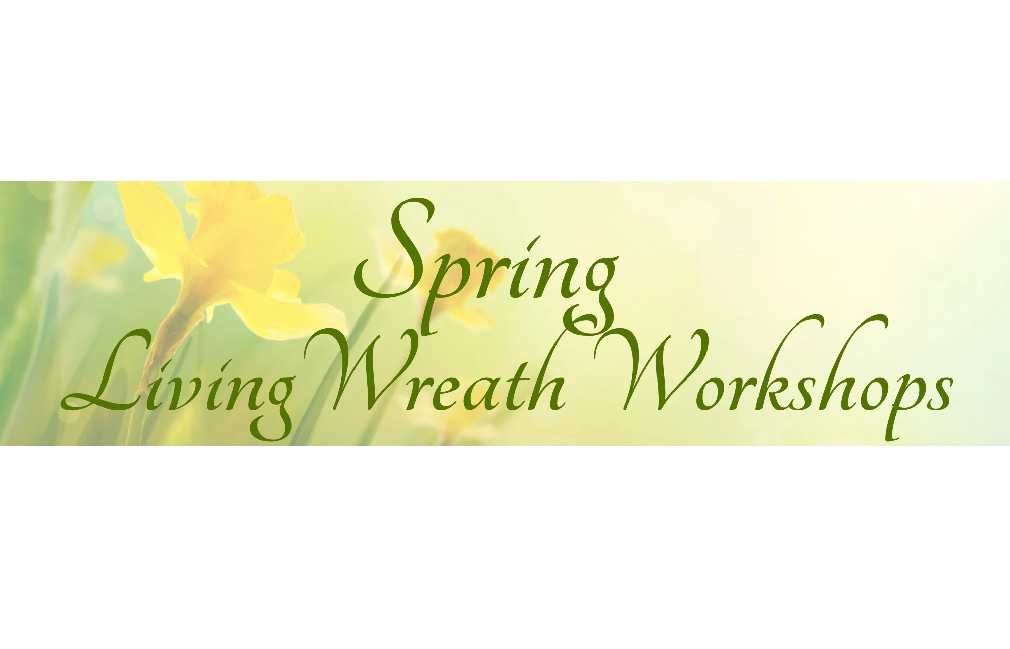 New Spring Workshop Header to use.jpg
