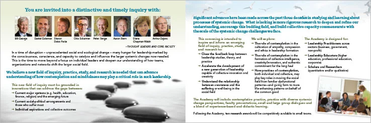 Marketing Collateral Design Portfolio: 4 Panel Brochure: Mind and Life Institute.