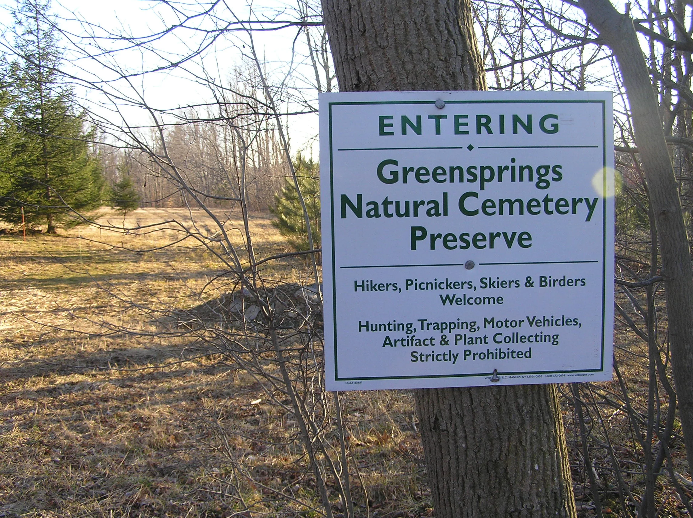 Greensprings5.jpg