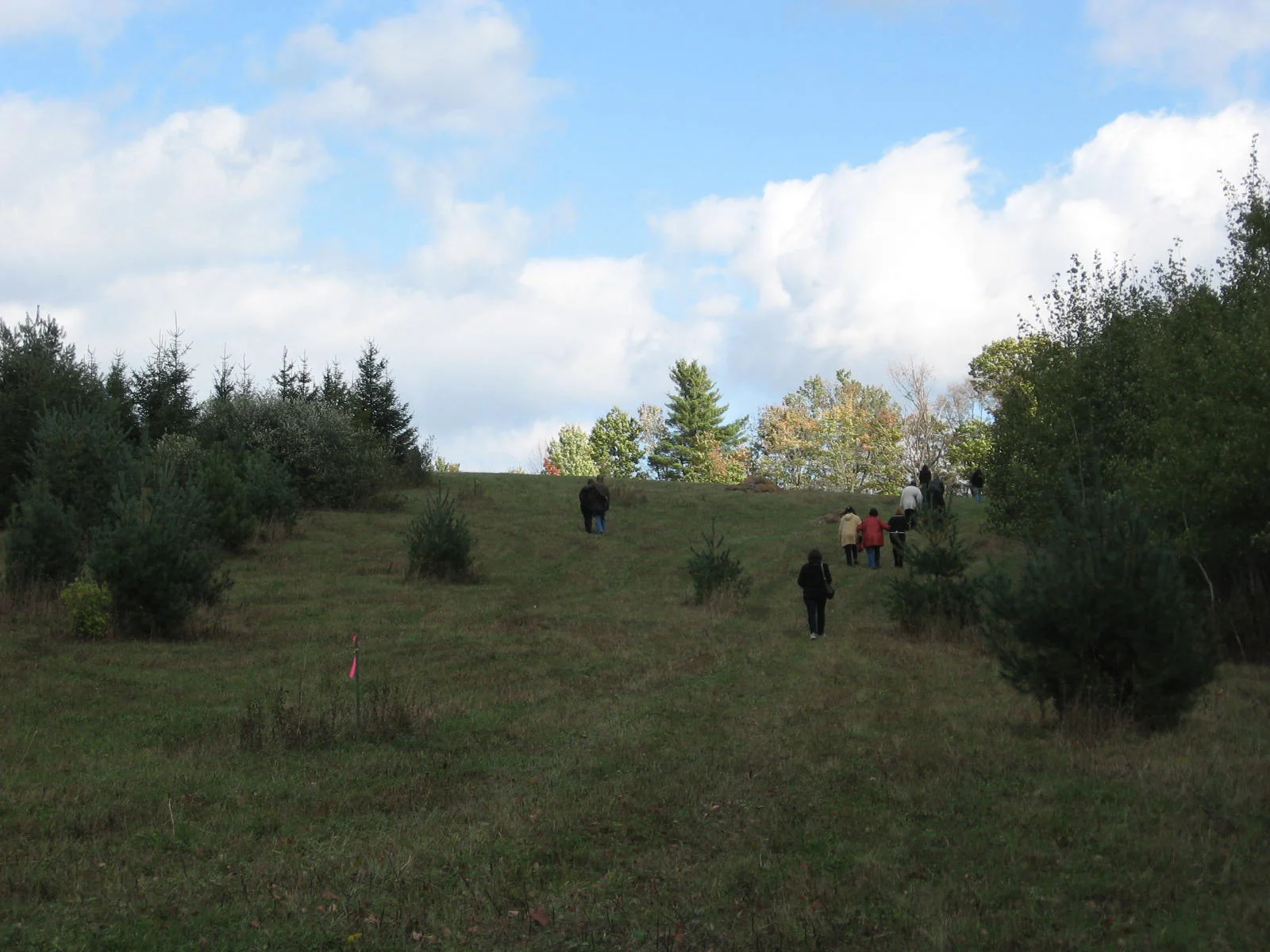 Greensprings11.jpg