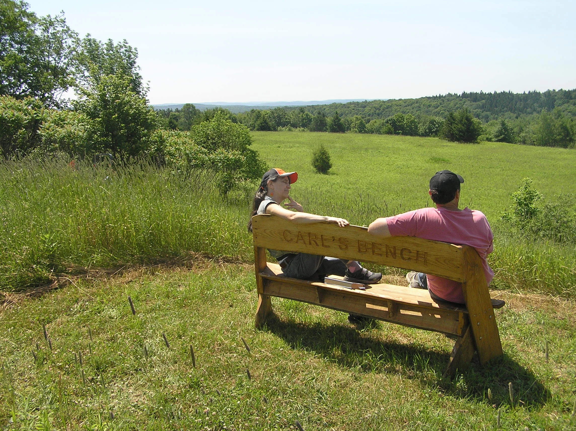 Greensprings13.jpg