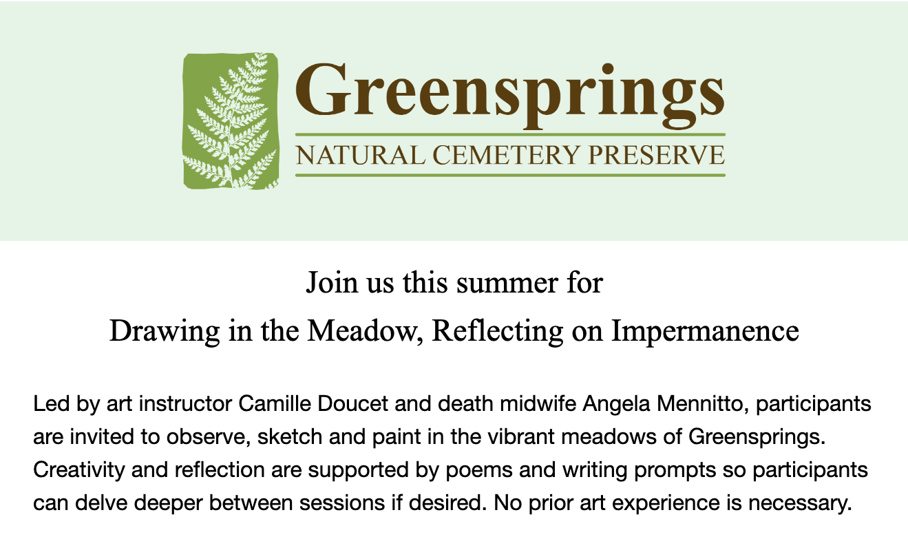 Art the Meadow (2024)